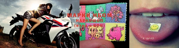 гашик Новокубанск
