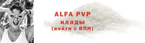 спиды Новозыбков