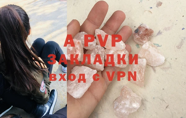гашик Нефтекумск