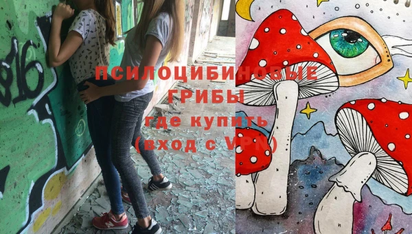 гашик Новокубанск