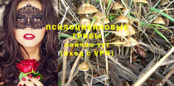 экстази Новодвинск