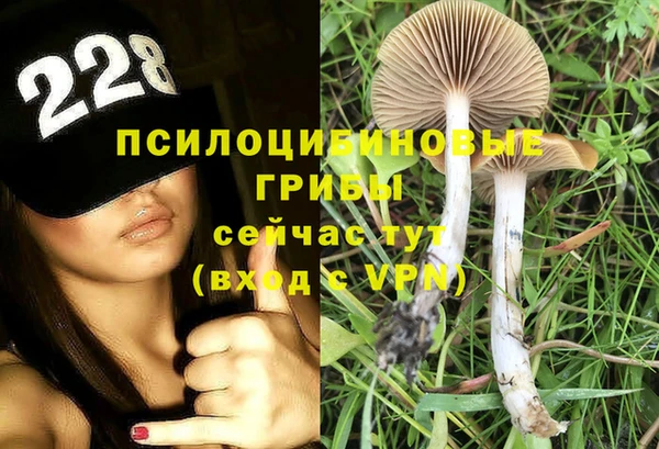 гашик Нефтекумск