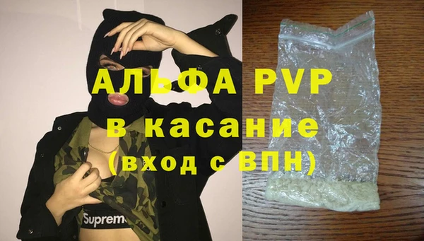 гашик Новокубанск
