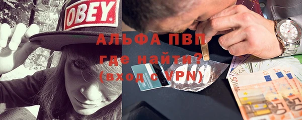 спиды Новозыбков
