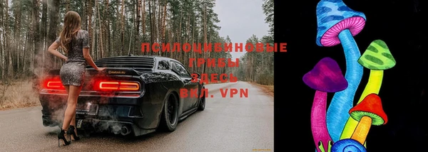спиды Новозыбков