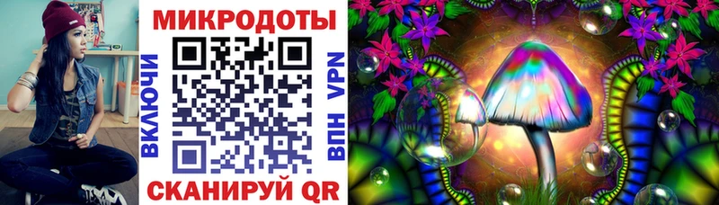 MEGA   Неман  Галлюциногенные грибы Psilocybe 