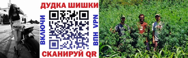 Бошки Шишки план  Неман 